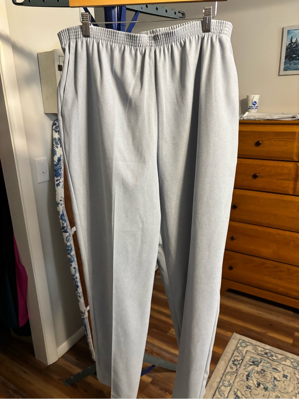 Alfred Dunner Light Gray Straight-Leg Elastic-Waist Pants
